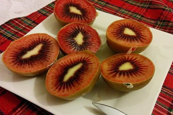 تصویر 2 از خرید و قیمت کیوی هایوارد قرمز + فروش صادراتی